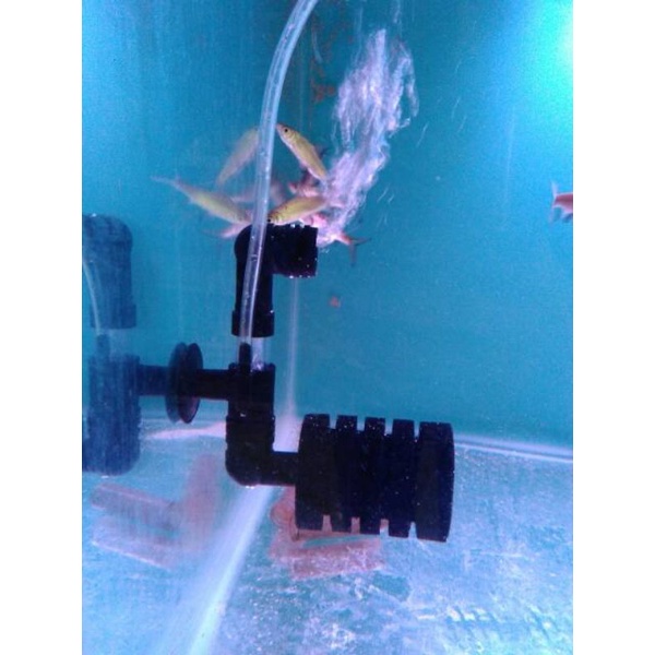 Media Filter Bio sponge filter RECENT AA 2811