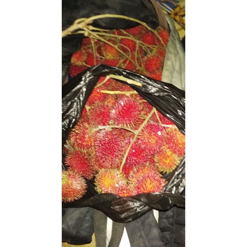 

rambutan gelong 500gram