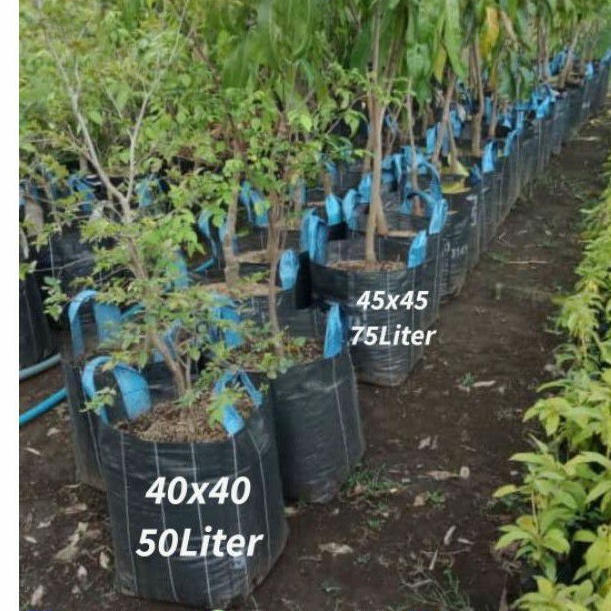 PLANTER BAG 75 LITER / POT / POLYBAG TERPAL KOREA