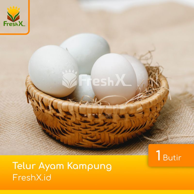 

Telur Ayam Kampung Asli FRESH