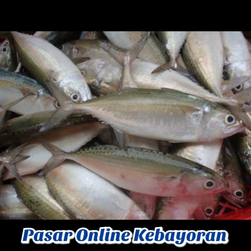 

Ikan Kembung Banjar Segar-1 Kg ( JABODETABEK )