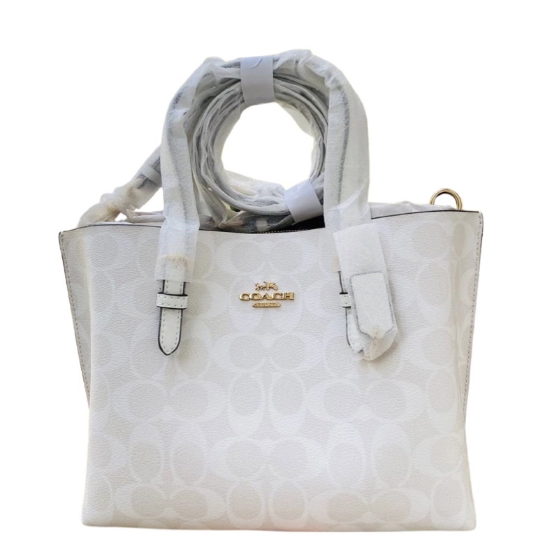 coach mollie 25 signature canvas chalk