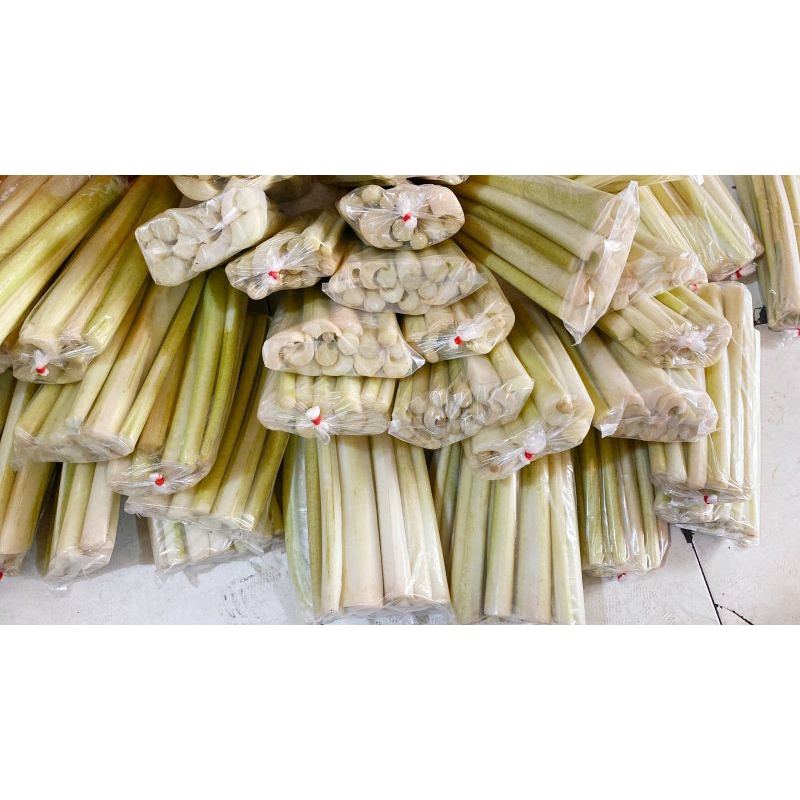 Bupiho /Buho /  batang talas manis