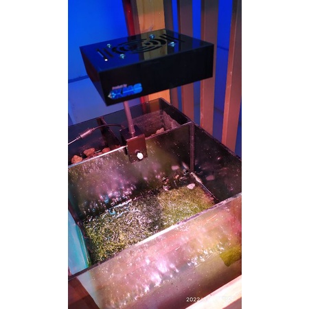Lampu Refugium Makro algae - KMS Led 20 watt