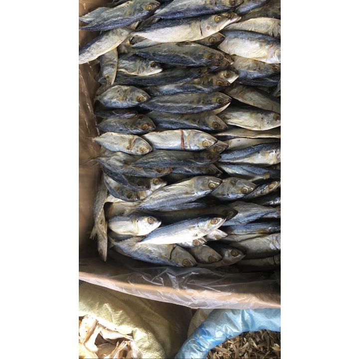 

Ikan Asin Dencis