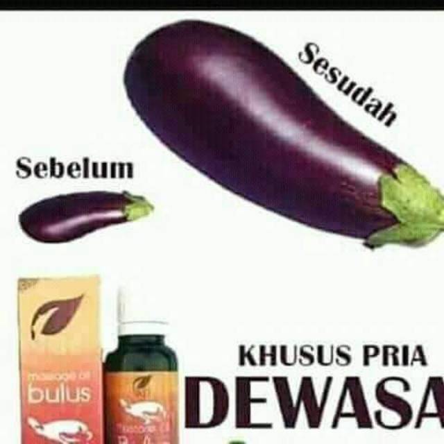 AMPUH 💯 MINYAK BULUS ASLI KALIMANTAN/ MINYAK BULUS PUTIH / MINYAK BULUS GINGSENG MERAH/ pembesar