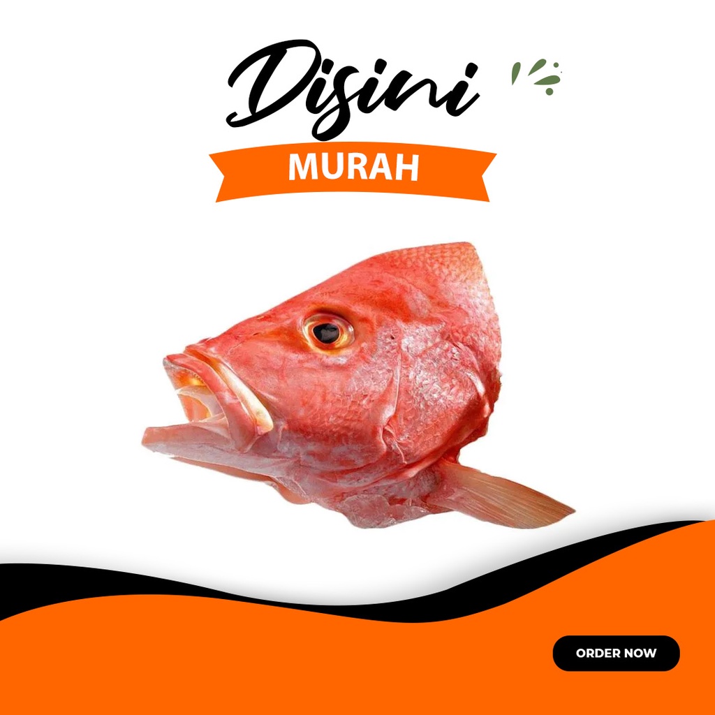 

kepala kakap merah fresh no frozen