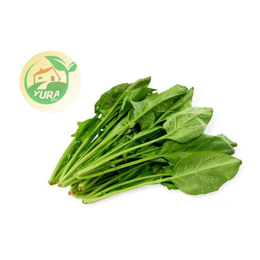 

HORENZO BAYAM JEPANG Organik 100% Sayur Segar Organic