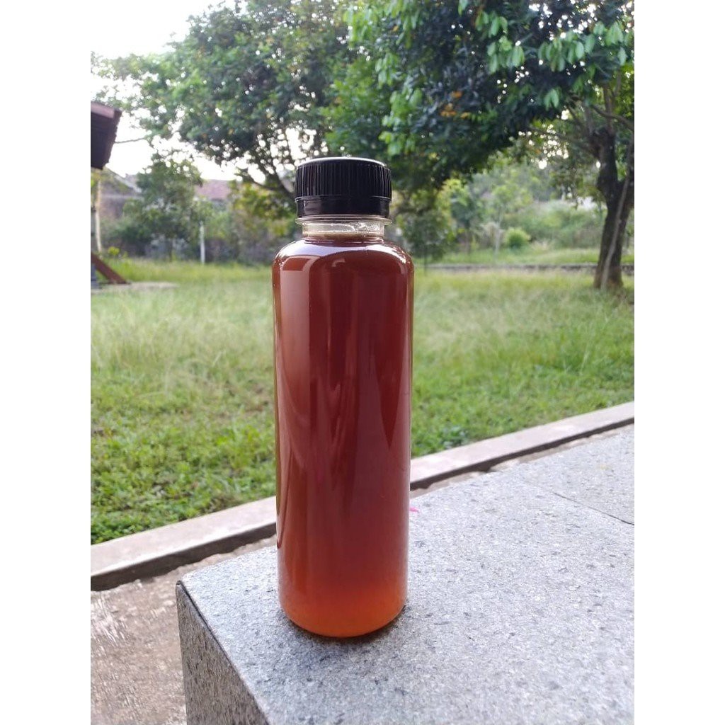 

Madu Klanceng / Kelulut / Kele / Trigona