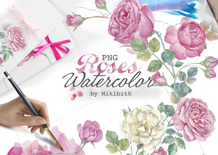 Hand Drawn Watercolor English Roses - Vector Designs