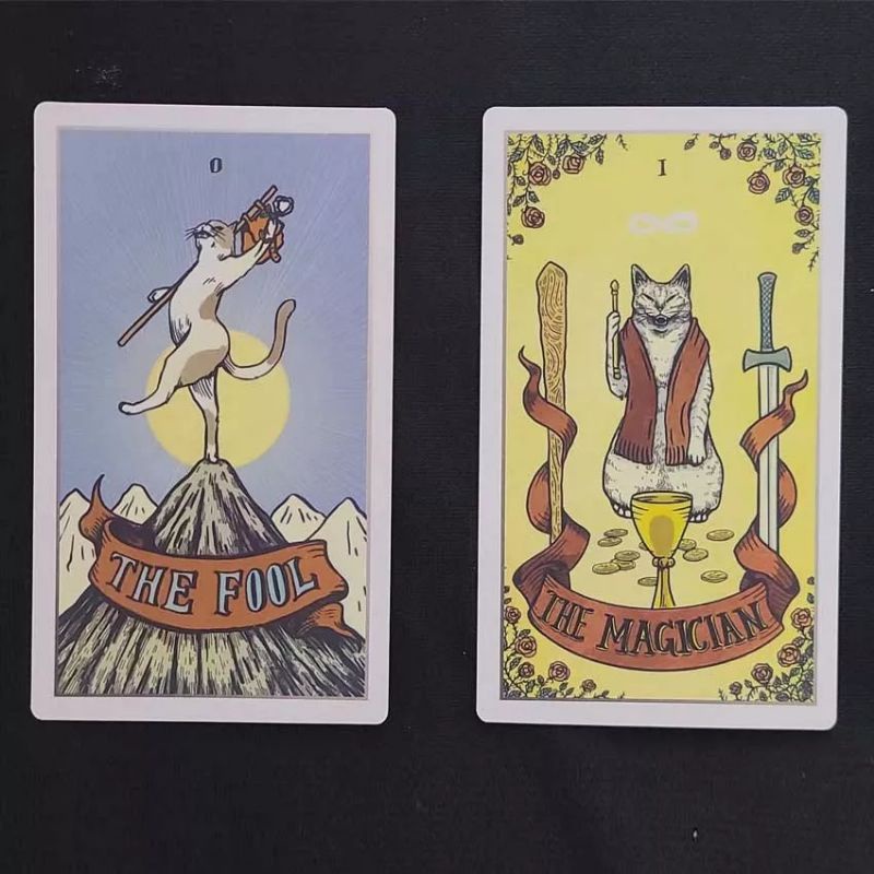 Stray Cat Tarot 12x7cm include guide paper