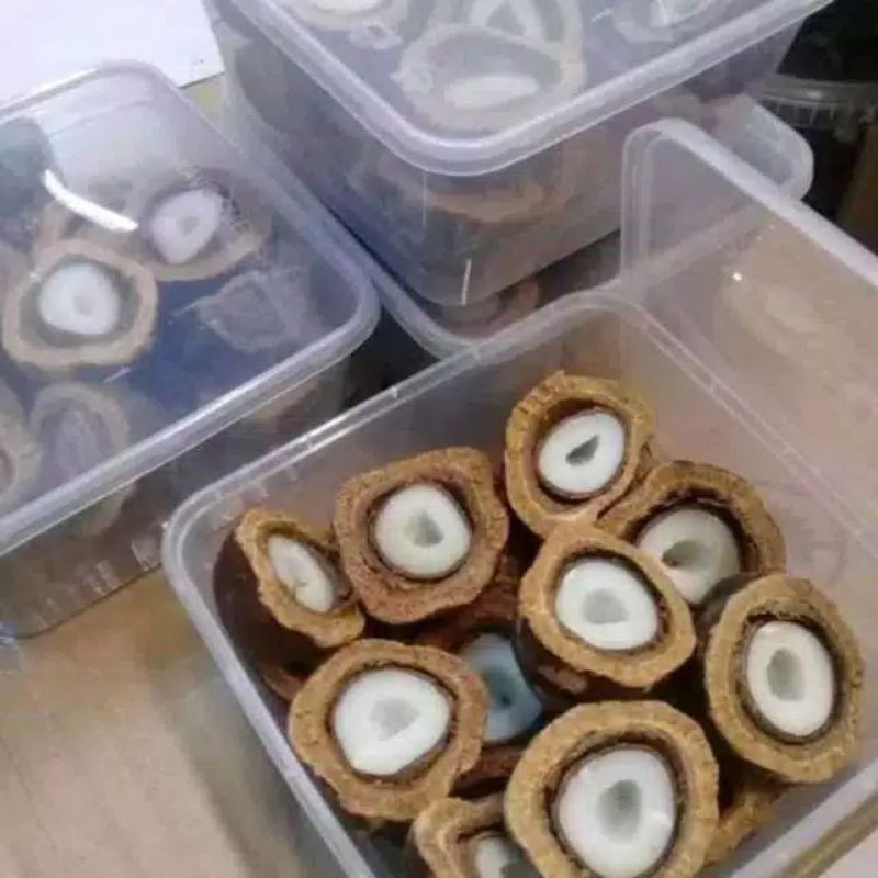 

terlariss zuriat belah