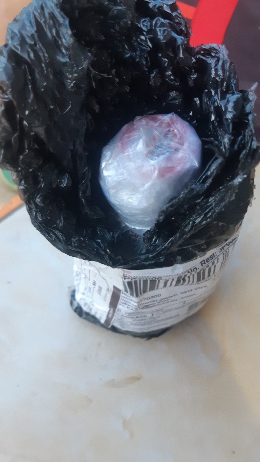 Gordon 320 Ec 250ml Insektisida Pembasmi Ulat Bawang Merah