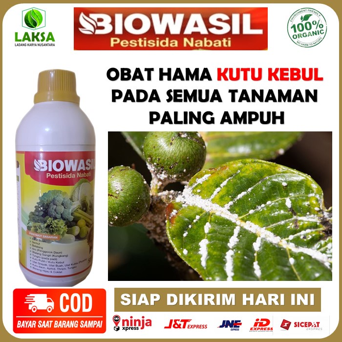Pestisida Biowasil Obat Semprot Hama Kutu Kebul Paling Ampuh - Biowasil Obat Hama Kutu Kebul, Kutu P