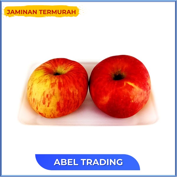 

Apel Fuji Wangshan 550 Gr