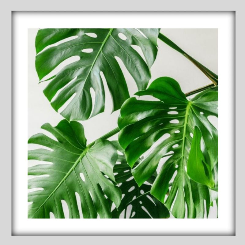 Hiasan Dinding / walldecor / pajangan dinding bunga