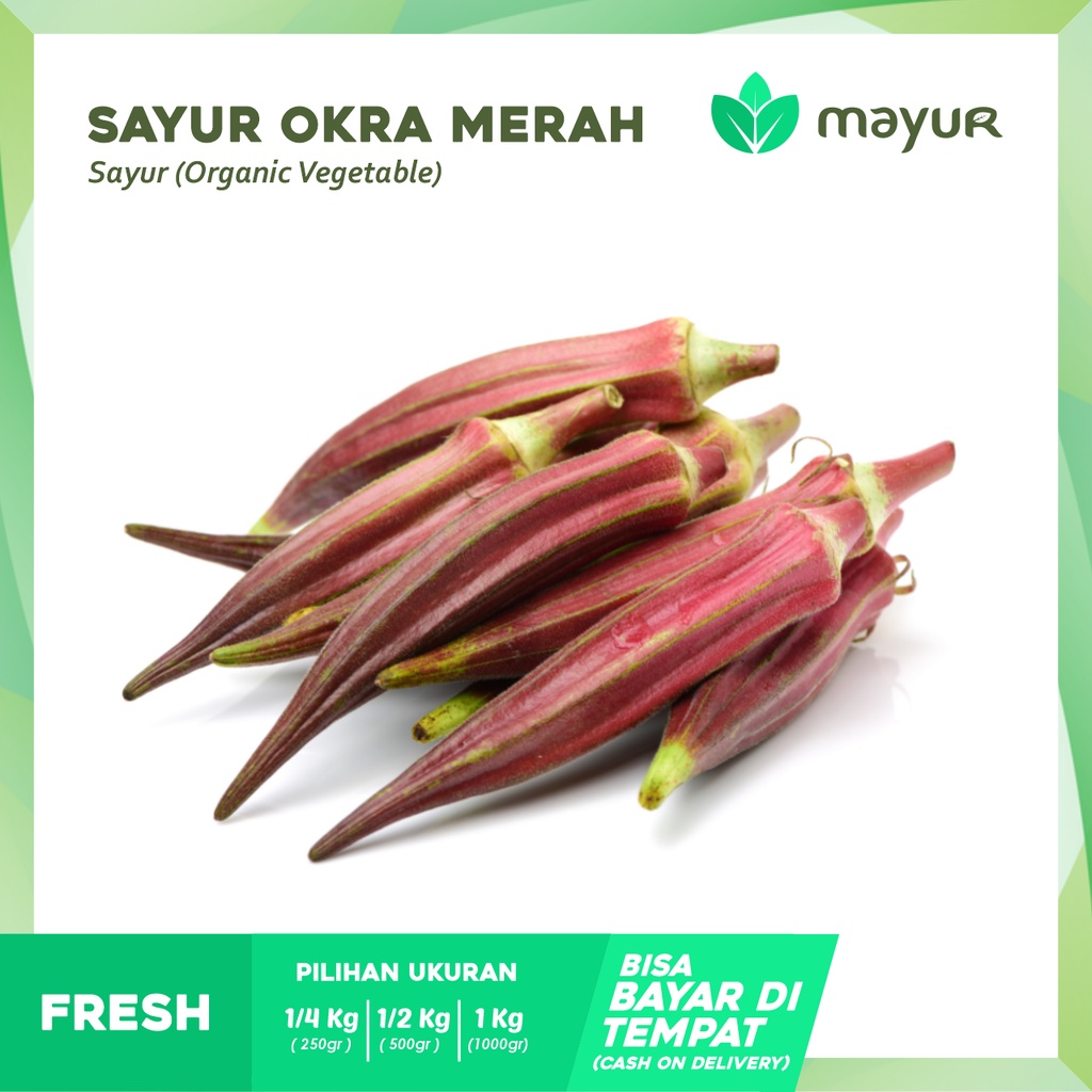 

Okra Merah Segar ( 250gr | 500gr | 1 kg )