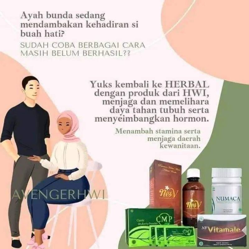 PAKET PROMIL HWI NESV CMP NUMACA
