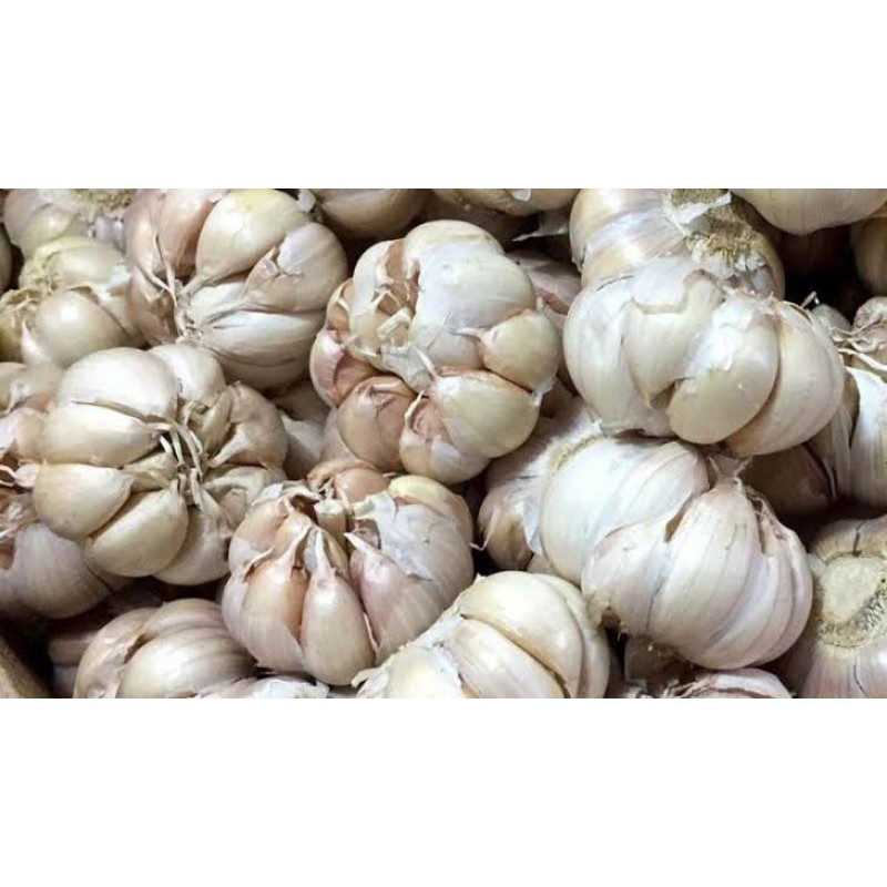 

Bawang Putih 500gr