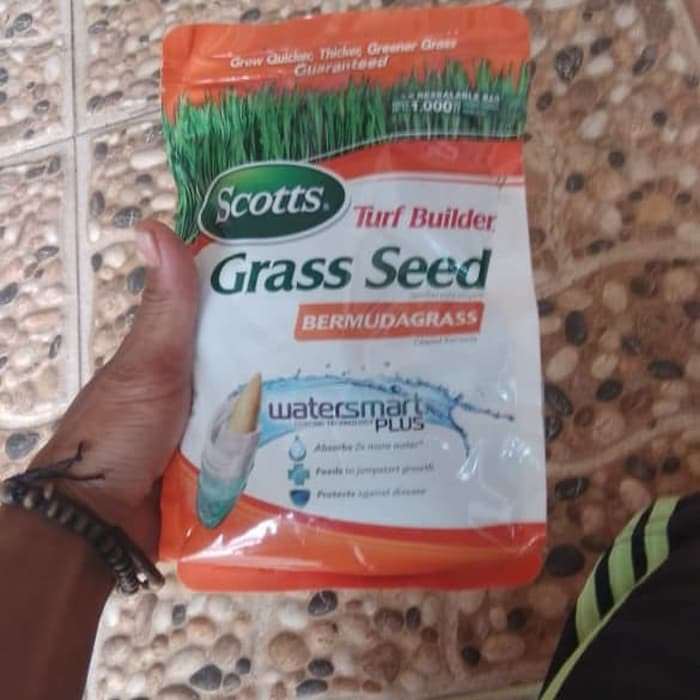 Benih Biji Rumput Permuda Grass 500 Gram - Biji Rumput Permuda Grass
