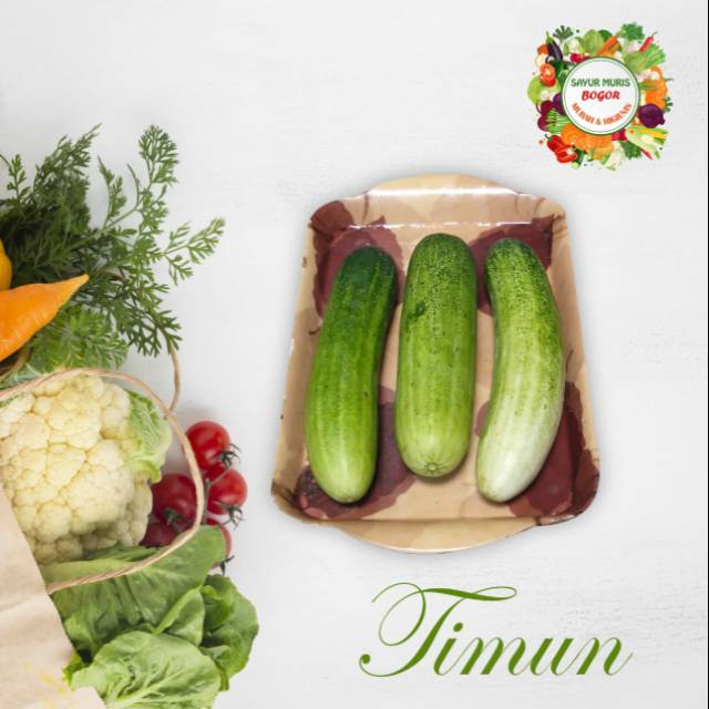 

Timur SEGAR 500gr