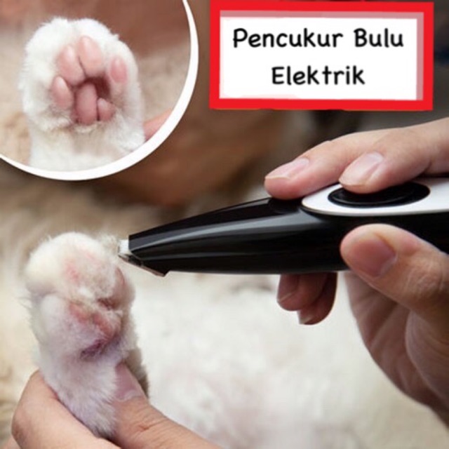 PENCUKUR BULU KAKI ELEKTRIK ANJING KUCING ALAT CUKUR ANJING ALAT CUKUR  KUCING ALAT GROOMING HEWAN