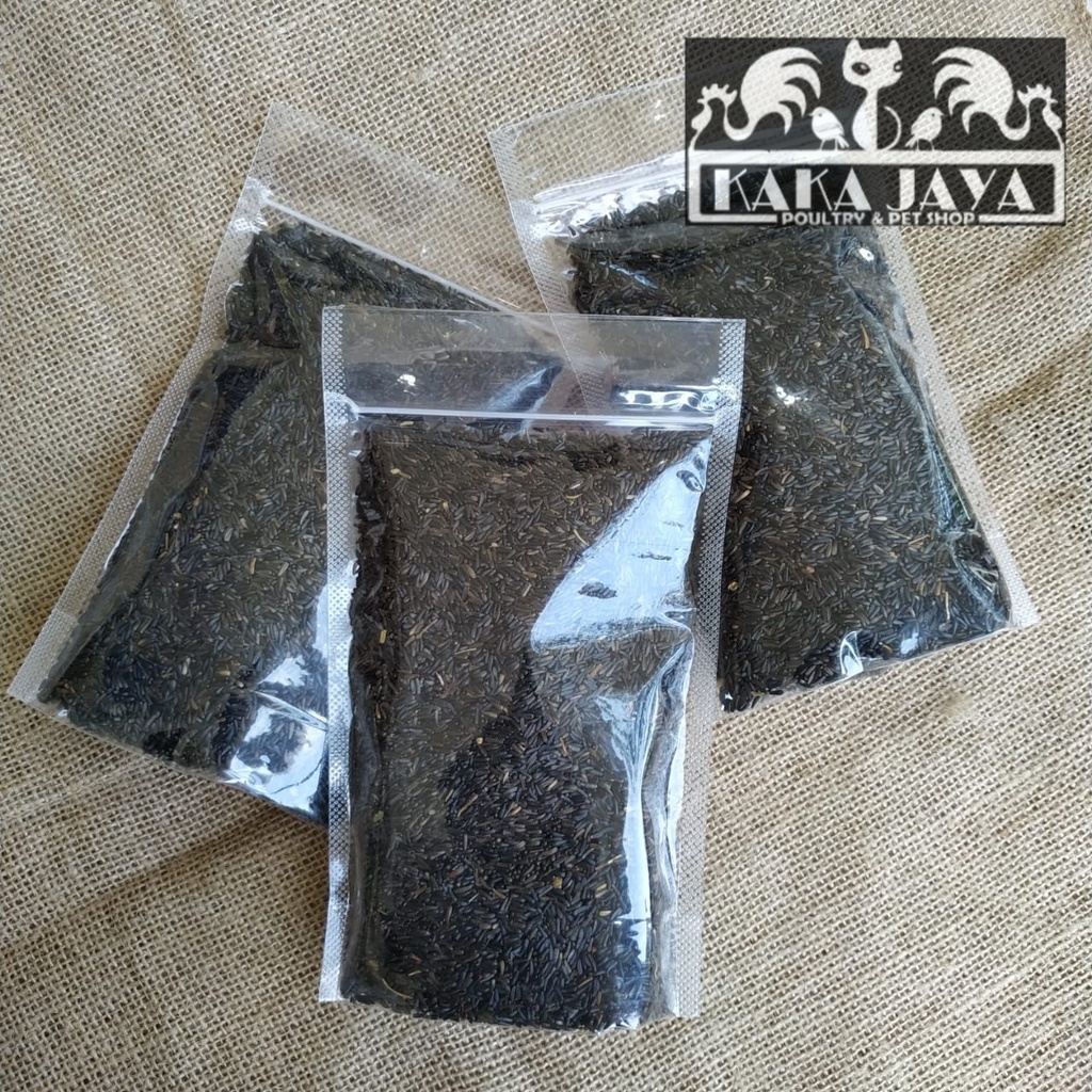 NIGER SEED Biji Niger PAKAN BURUNG KENARI FINCH LOVEBIRD