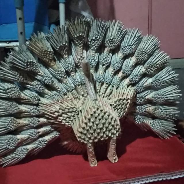 66 Gambar Burung Merak Pake Pensil Gratis Terbaru