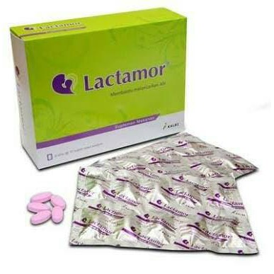

HEMAT LACTAMOR !!