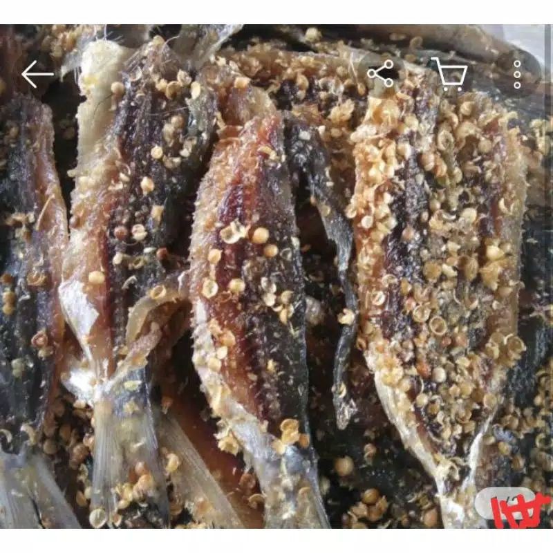 

Ikan asin dendeng