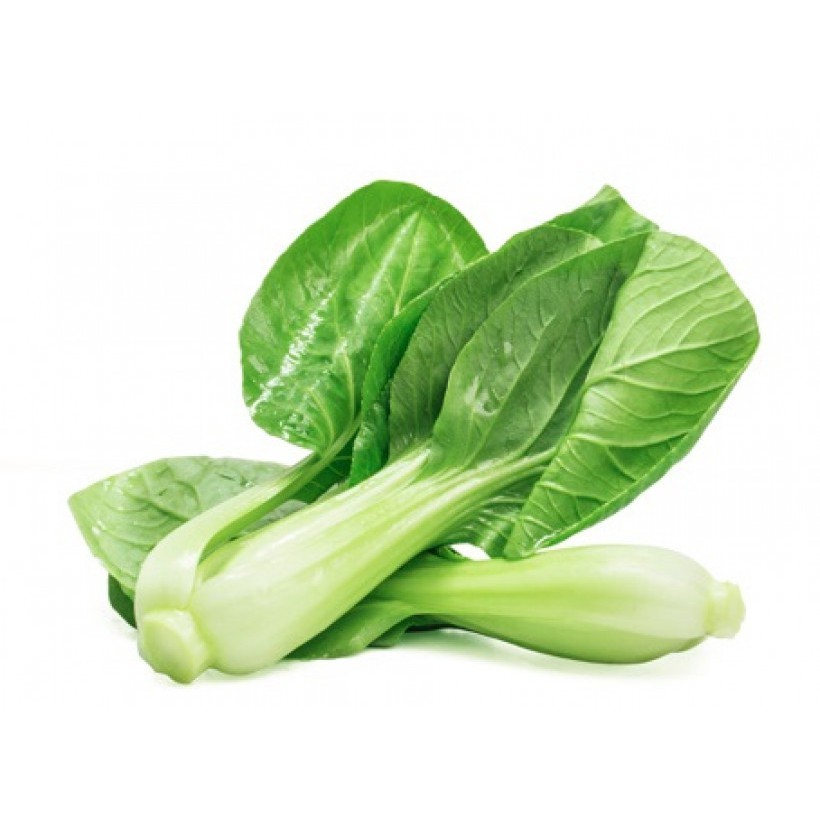 

Pakcoy fresh termurah / Pakcoy / sayur segar