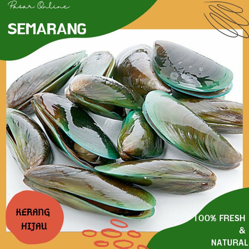 

Kerang Hijau / Kerang Ijo /Sea Food Semarang /Seafood / Belanja Ikan Laut Segar / Fresh / Belanja