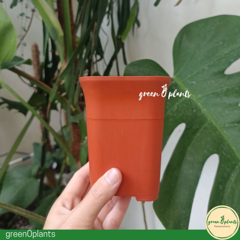 Pot Bunga Tanaman Plastik NKT Kotak 8 Coklat Bata