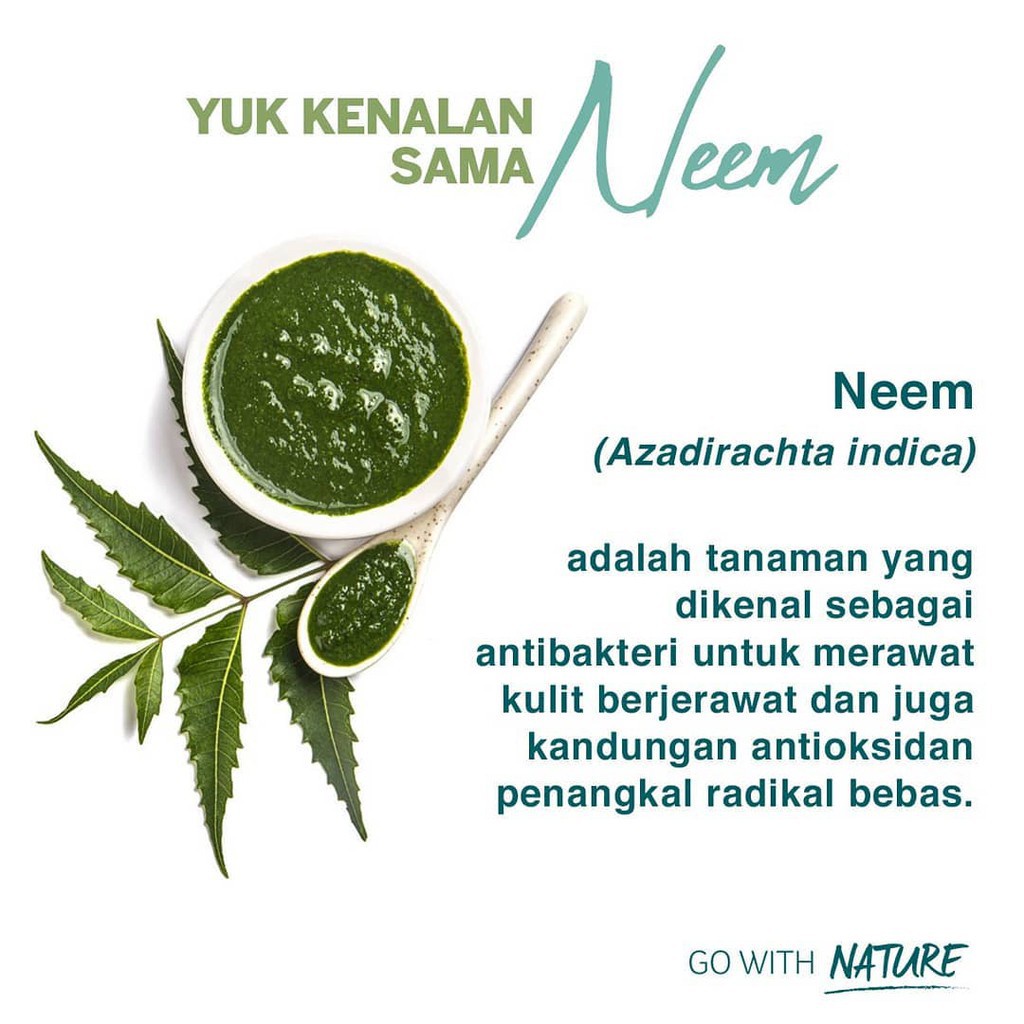 `ღ´ PHINKL `ღ´ HIMALAYA neem mask masker wajah organik anti jerawat mugwort cream oles