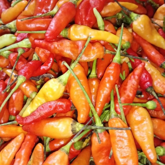 

Sambal-Aneka- Cabe Rawit Merah -Aneka-Sambal.