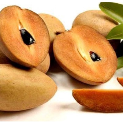 

buah sawo madu fresh 1 kg grade A super