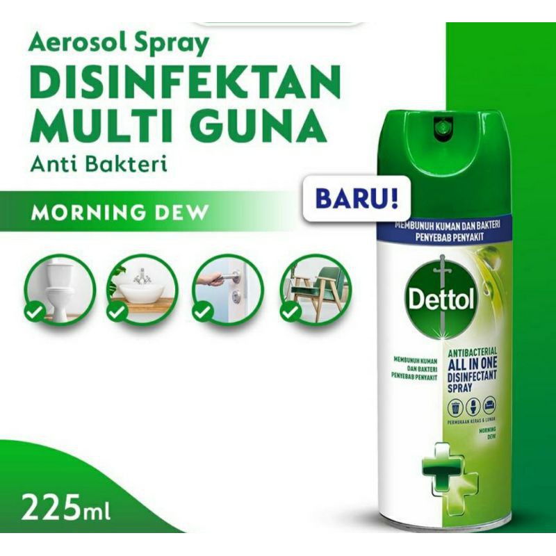 Dettol Disinfectant Spray Disinfektan Aerosol ALL IN ONE - 225 ml (Morning dew)