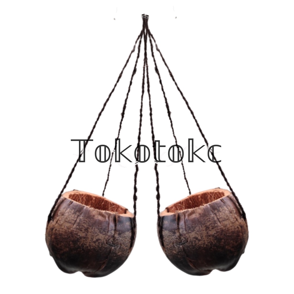 Pot Gantung Kulit Kelapa Besar - Pot Anggrek Gantung Murah