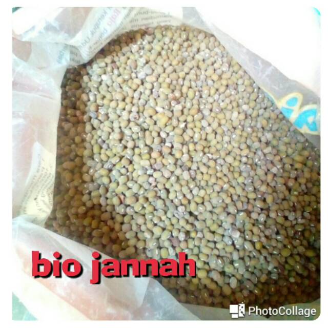 

kacag hijau 100gr
