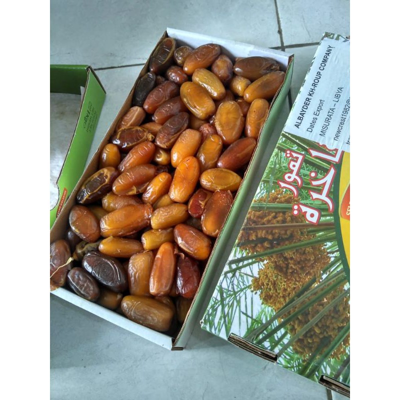 

Kurma Muda