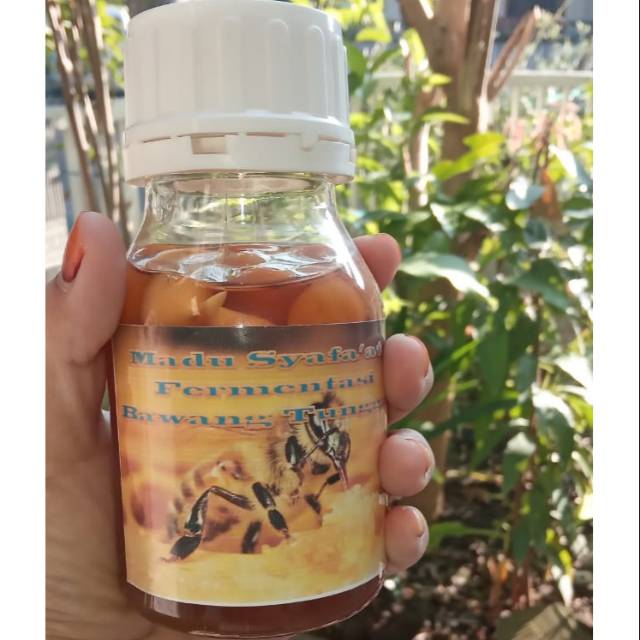 

MADU HUTAN / MADU KLANCENG FERMENTASI BAWANG TUNGGAL 300 GRAM