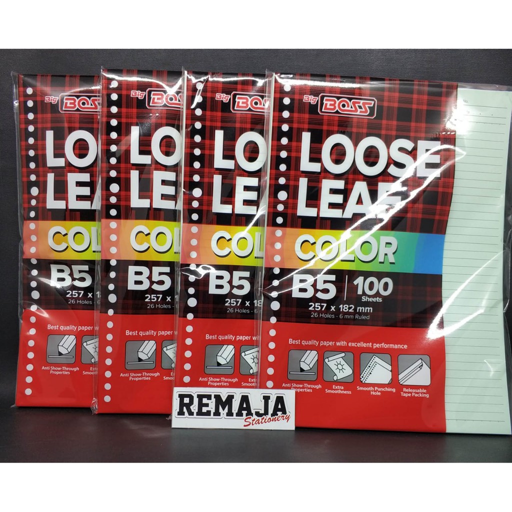 

Big Boss Loose Leaf B5 100 Warna Rainbow