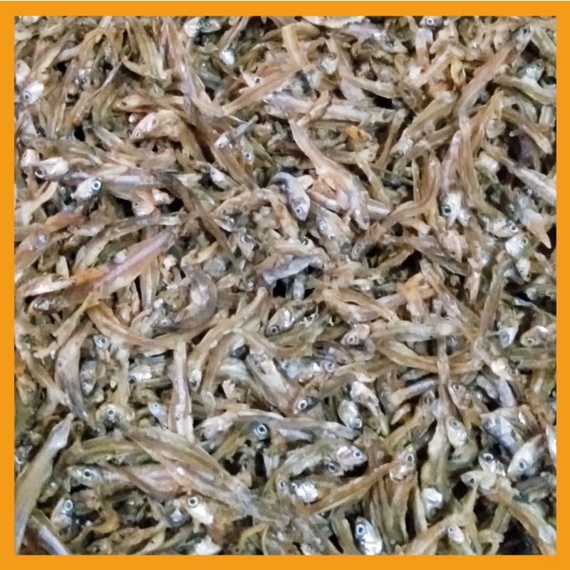 

IKAN ASIN TERI MURAH ENAK