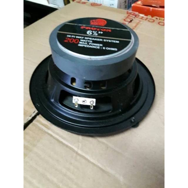 speaker proton 10 inch