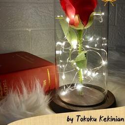 

❇ Kado Bunga Ulang Tahun Ultah Anniversary ☑