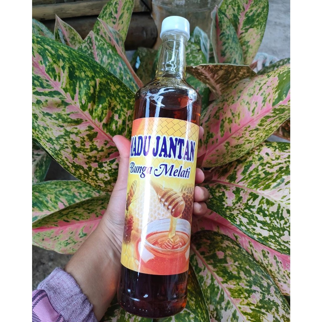 

Madu Jantan