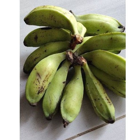 

pisang klutuk/pisang batu muda segar 1 kg