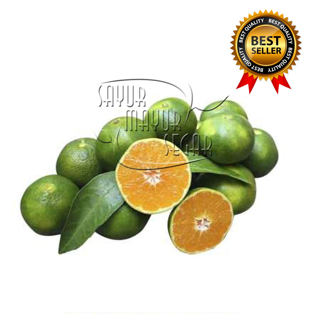 

KIRIM INSTAN JERUK PERAS BANYUWANGI SEGAR / JERUK PERES FRESH 5 KG & 10 KG (BUAH CURAH)