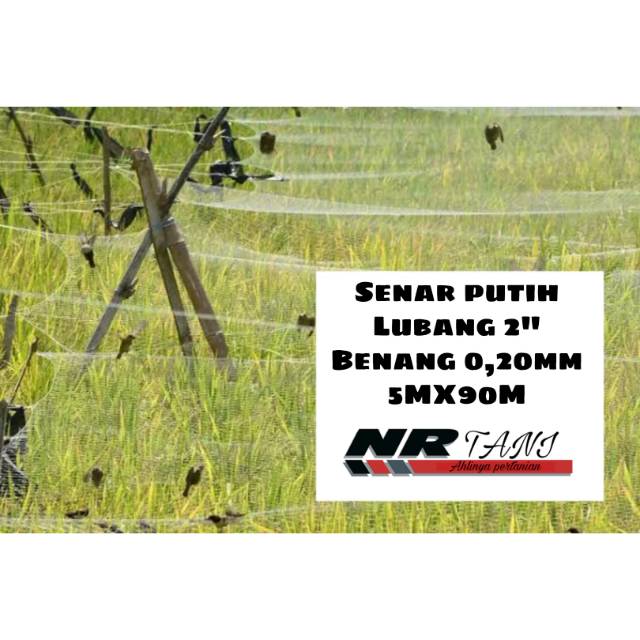 JARING BURUNG EMPRIT 2 JARI BENANG 0,20MM/ JARING BURUNG EMPRIT 2" BENANG 0,20MM PROMO MURAH