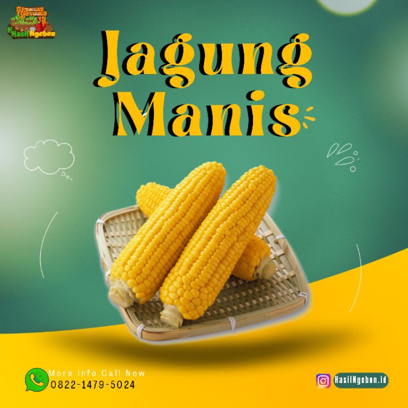 

JAGUNG MANIS 500GR
